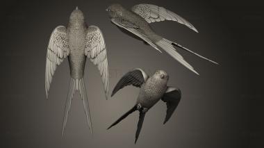 3D model swallow (STL)